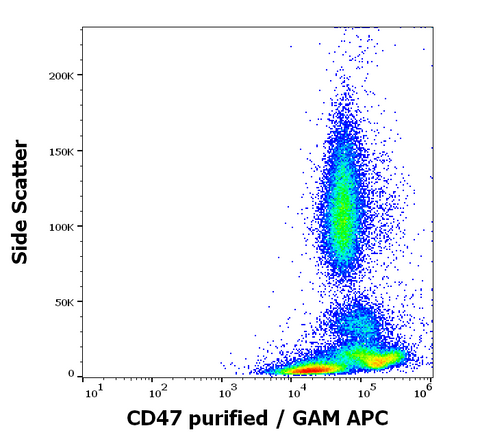Purified Anti-Human CD47 (MEM-122)