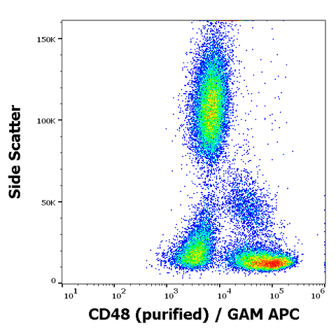 Purified Anti-Human CD48 (MEM-102)