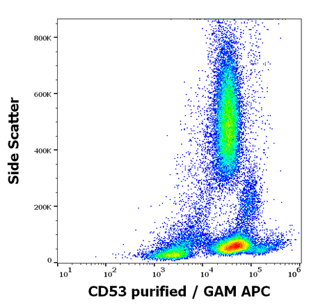 Purified Anti-Human CD53 (MEM-53)