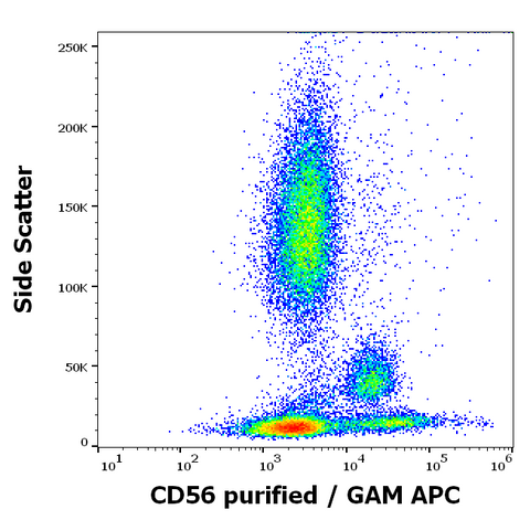 Purified Anti-Human CD56 (MEM-188)