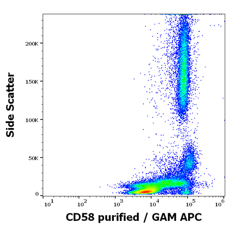 Purified Anti-Human CD58 (MEM-63)