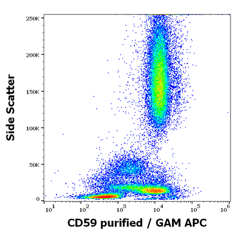 Purified Anti-Human CD59 (MEM-43/5)