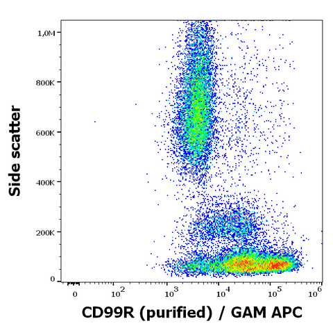 Purified Anti-Human CD99 (MEM-131)