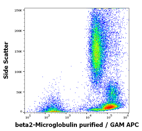 Purified Anti-Human Beta-2 Microglobulin (B2M-01)