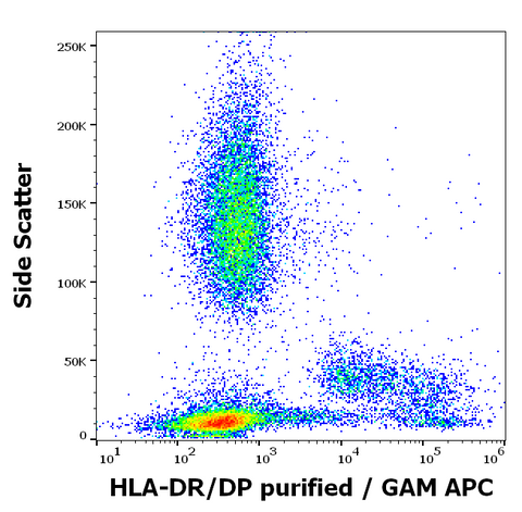 Purified Anti-Human MHC Class II (HLA-DR, DP) (HL-38)