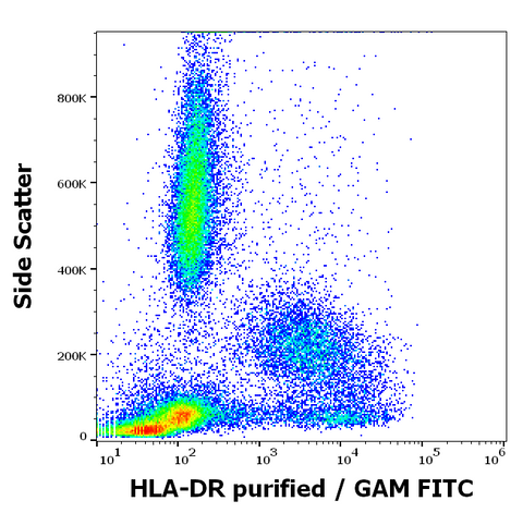 Purified Anti-Human MHC Class II (HLA-DR) (HL-39)