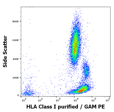 Purified Anti-Human MHC Class I (HLA-ABC) (MEM-147)