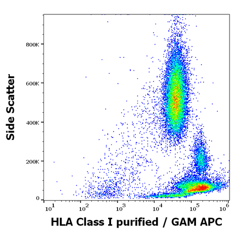 Purified Anti-Human MHC Class I (HLA-ABC) (MEM-81)