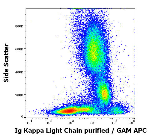 Purified Anti-Human Ig Kappa (MEM-09)