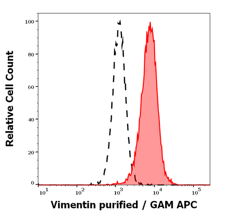 Purified Anti-Mammal Vimentin (VI-01)