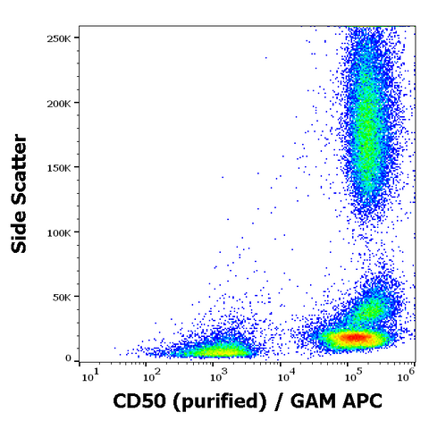 Purified Anti-Human CD50 (MEM-171)