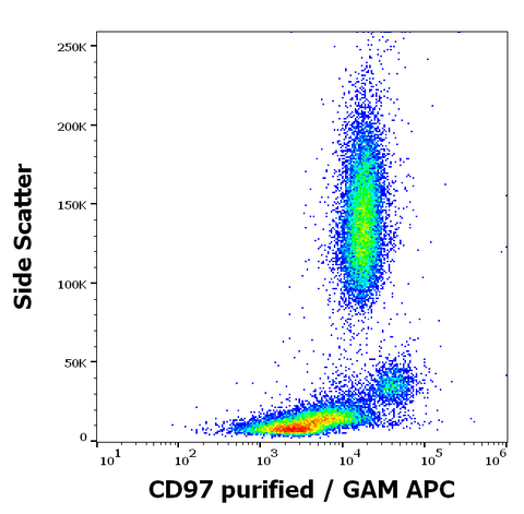 Purified Anti-Human CD97 (MEM-180)