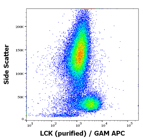Purified Anti-Human LCK (LCK-01)