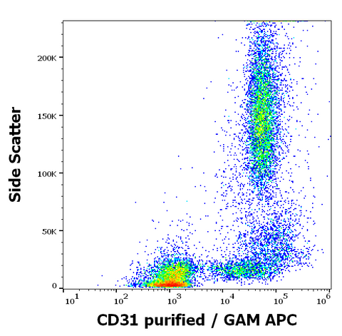 Purified Anti-Human CD31 (MEM-05)