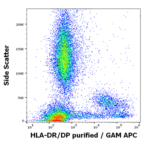 Purified Anti-Human MHC Class II (HLA-DR, DP) (MEM-136)