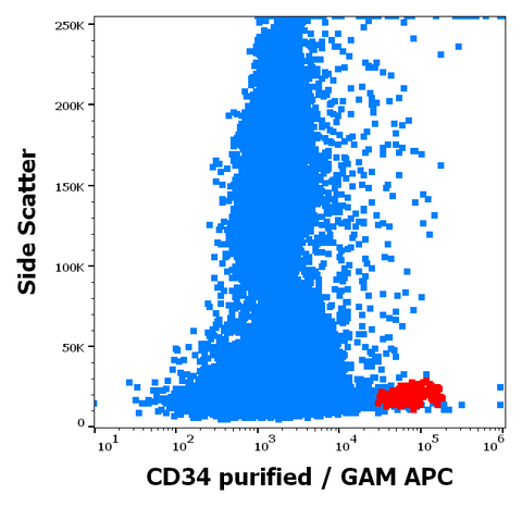 Purified Anti-Human CD34 (4H11)