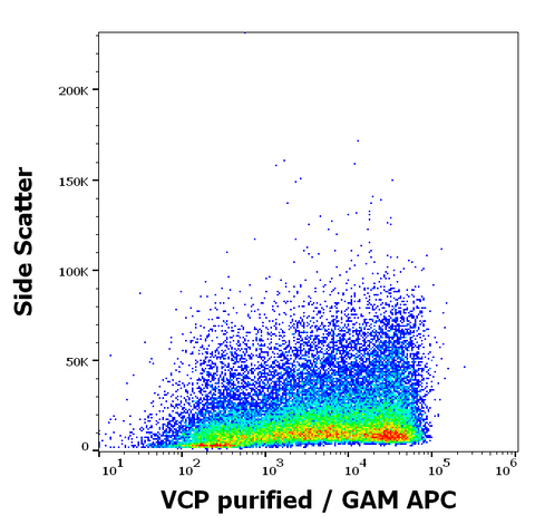 Purified Anti-Human/Mouse VCP (Hs-14)