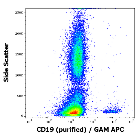 Purified Anti-Human CD19 (LT19)