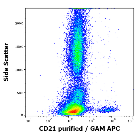 Purified Anti-Human CD21 (LT21)