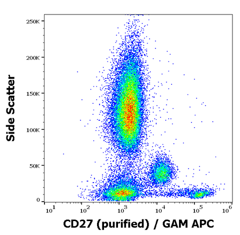 Purified Anti-Human CD27 (LT27)