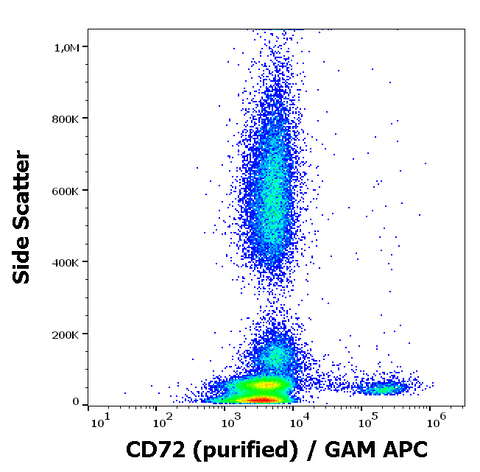 Purified Anti-Human CD72 (3F3)