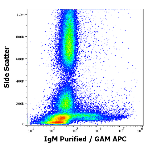 Purified Anti-Human IgM (CH2)