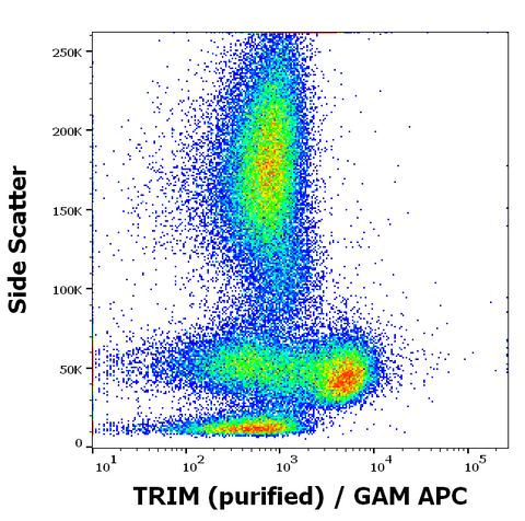Purified Anti-Human TRIM (TRIM-04)