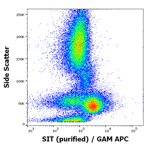 Purified Anti-Human SIT1 (SIT-01)