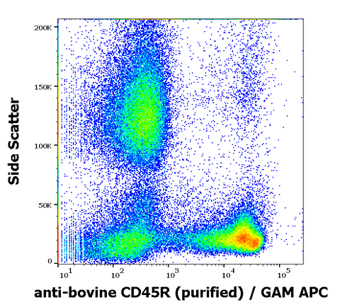 Purified Anti-Bovine CD45R (B220) (IVA103)