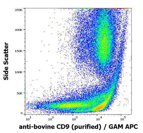 Purified Anti-Bovine CD9 (IVA50)