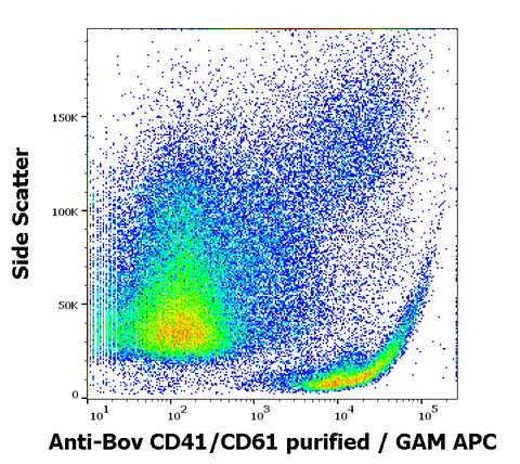 Purified Anti-Bovine CD41/CD61 (IVA30)
