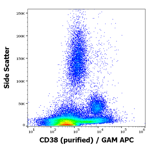 Purified Anti-Human CD38 (HIT2)