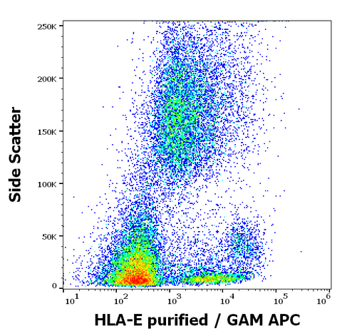 Purified Anti-Human MHC Class I (HLA-E) (MEM-E/06)
