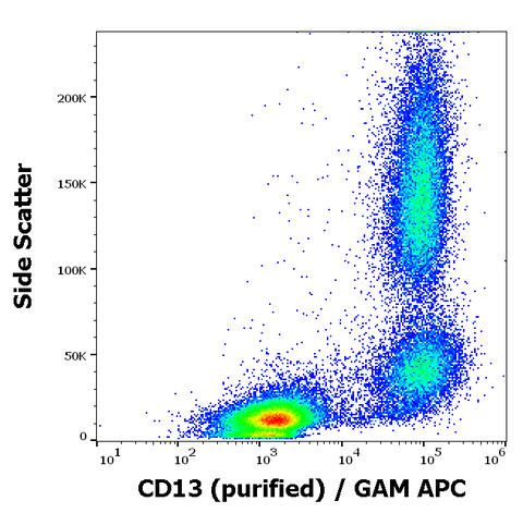 Purified Anti-Human CD13 (WM15)