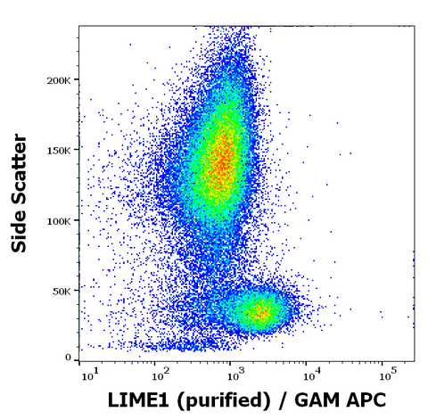 Purified Anti-Human LIME1 (LIME-06)