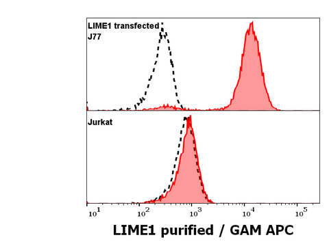Purified Anti-Human LIME1 (LIME-10)