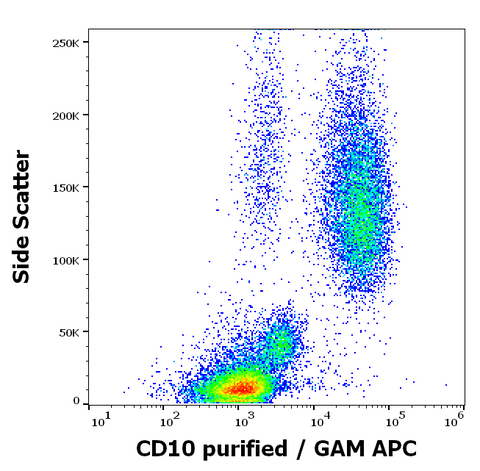 Purified Anti-Human CD10 (LT10)