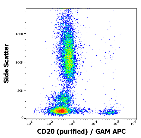Purified Anti-Human CD20 (LT20)