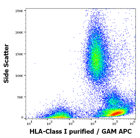 Purified Anti-Human MHC Class I (HLA-ABC) (W6/32)