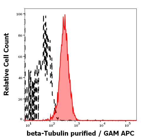 Purified Anti-Human/Mouse Beta Tubulin (TU-12)