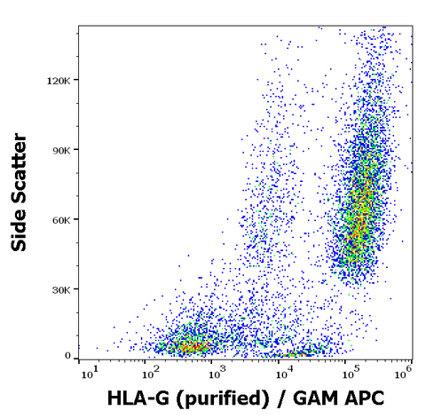 Purified Anti-Human MHC Class I (HLA-G) (01G)