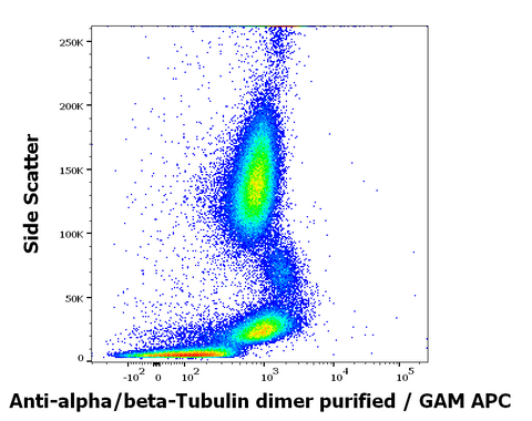Purified Anti-Human/Mouse Alpha/Beta Tubulin dimer (TU-10)