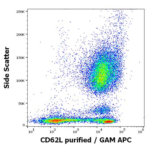 Purified Anti-Human CD62L (L-Selectin) (LT-TD180)
