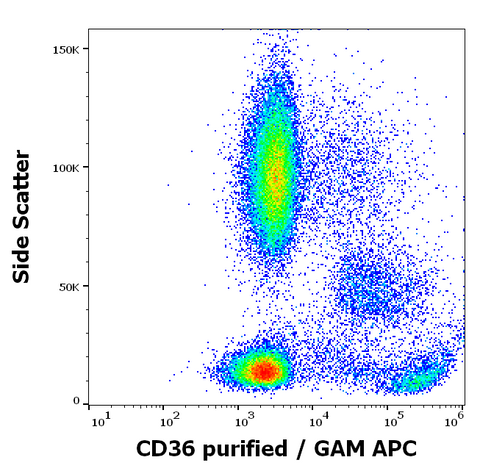 Purified Anti-Human CD36 (TR9)