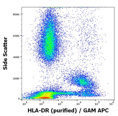 Purified Anti-Human MHC Class II (HLA-DR) (MEM-12)