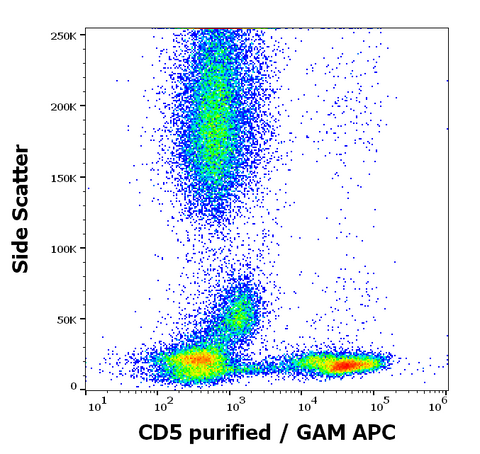 Purified Anti-Human CD5 (CRIS1)