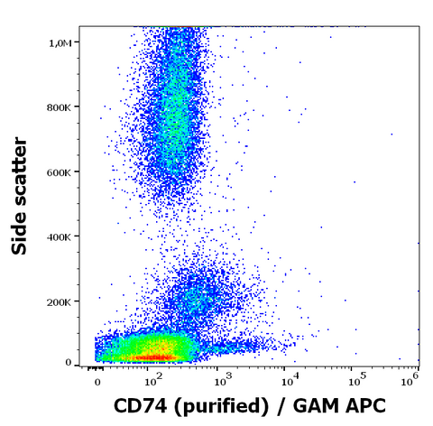 Purified Anti-Human CD74 (LN2)