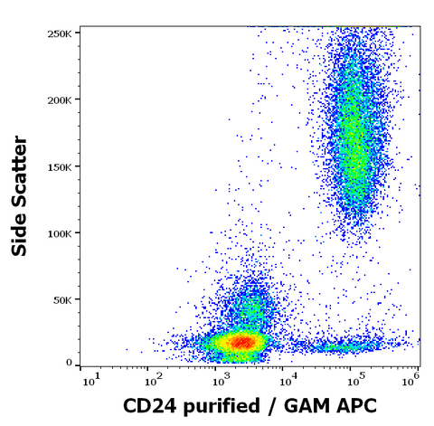 Purified Anti-Human CD24 (SN3)