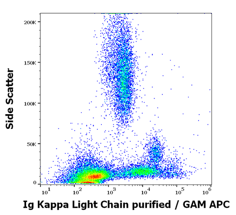 Purified Anti-Human Ig Kappa (A8B5)