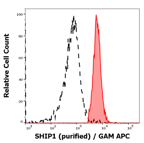 Purified Anti-Human SHIP (SHIP-01)
